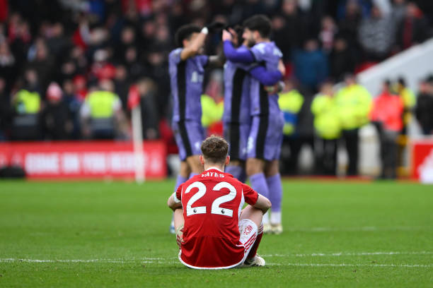 他们明确表 他们明确表